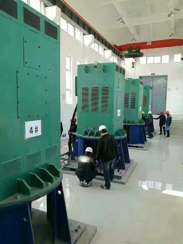 Y5603-12某污水处理厂使用我厂的立式高压电机安装现场
