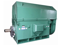 Y5603-12Y系列6KV高压电机