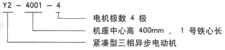 YR系列(H355-1000)高压Y5603-12三相异步电机西安西玛电机型号说明